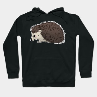 Cute hedgehog hand drawn walking to the left Hoodie